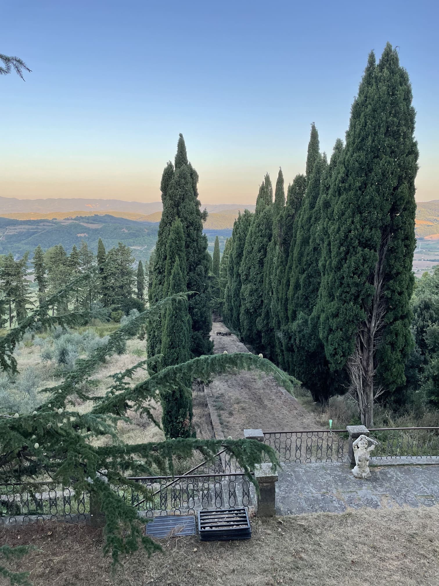 Vue panoramique rurale des collines de Vecchienna